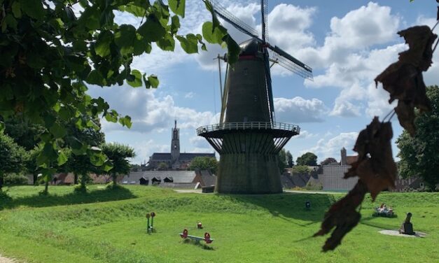 Verder als onafhankelijk raadslid in de gemeente Hulst