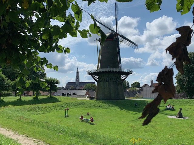 Verder als onafhankelijk raadslid in de gemeente Hulst